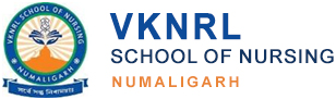 VKNRL School of Nursing